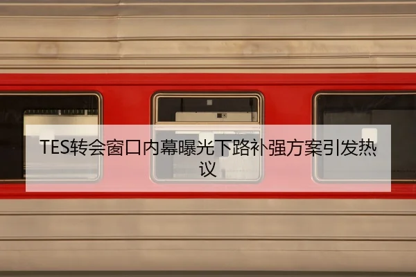 TES转会窗口内幕曝光下路补强方案引发热议
